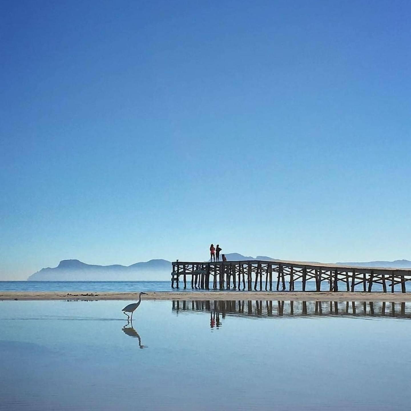 Apartamentos Venecia A Unos Pasos De La Playa Port de Alcudia  Eksteriør bilde